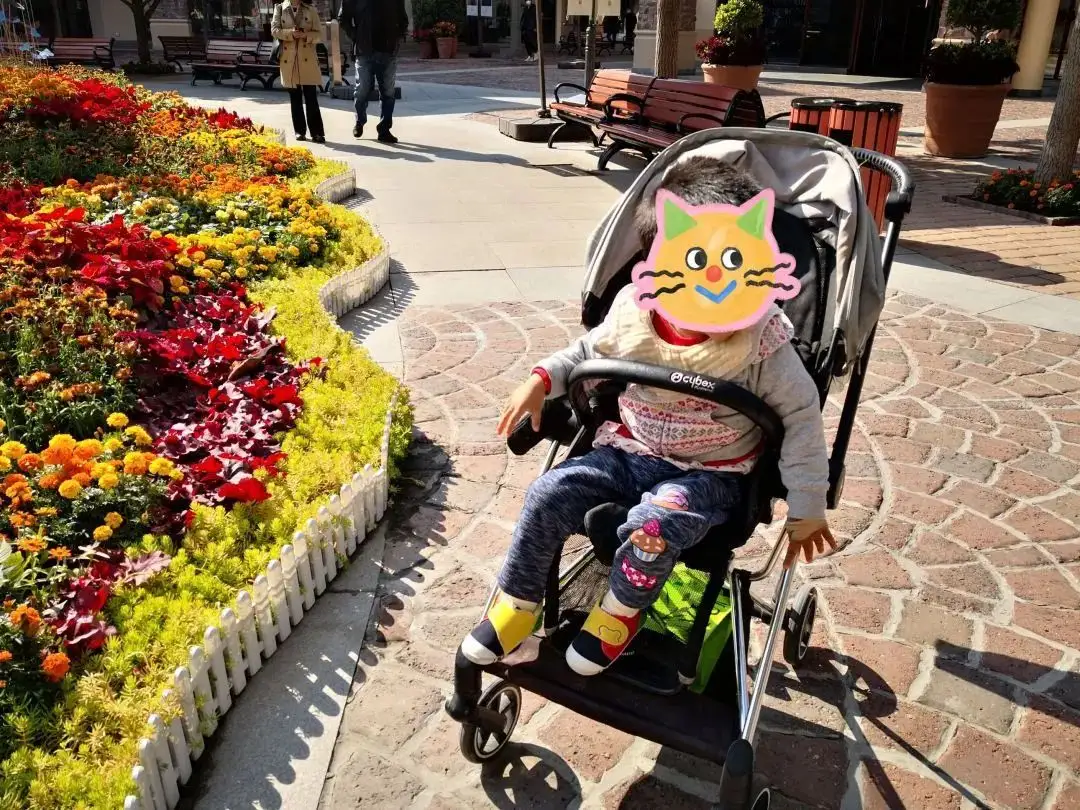 168671239586767340.webp 168671239586767340.webp